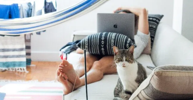Rawat Hewan di Kost Murah dengan 5 Trik Ini 1 image 11