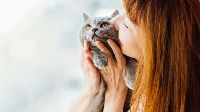 Perawatan Murah Meriah Hewan Sehat & Happy: Panduan Hemat untuk Pet Lovers Indonesia 2025