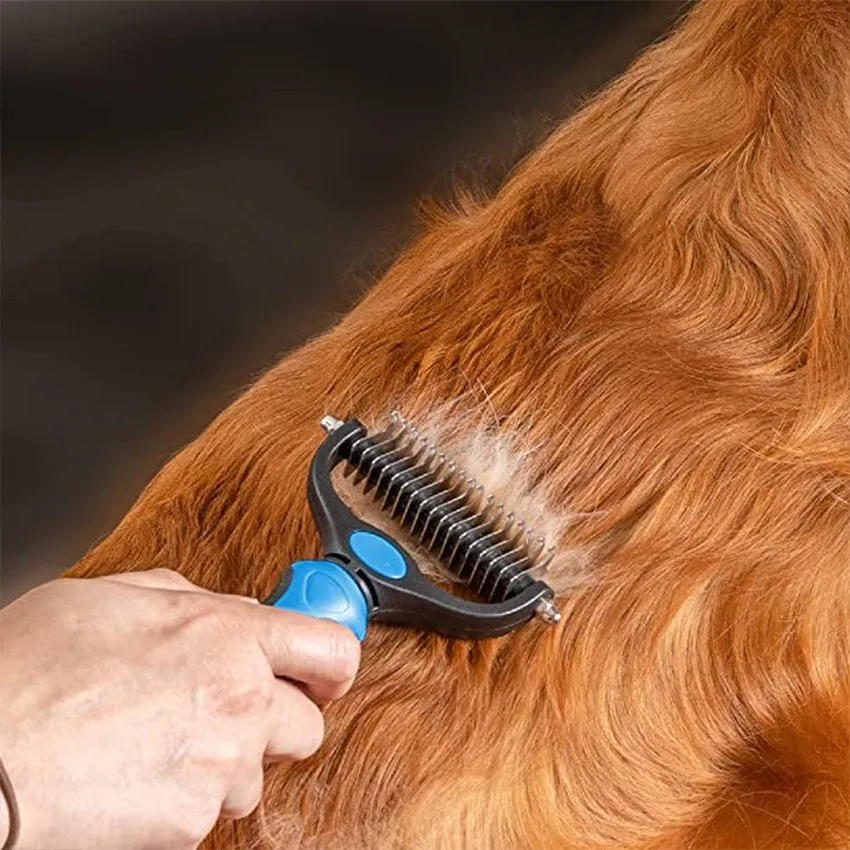 Sisir Bulu Anjing Harian: Solusi Praktis Gen Z 2025 Kurangi Alergi & Rontok di Rumah 4 Sisir Bulu Anjing Harian: Solusi Praktis Gen Z 2025 Kurangi Alergi & Rontok di Rumah