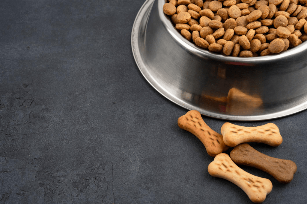 7 Makanan Protein Tinggi yang Bikin Anjing dan Kucing Makin Sehat dan Aktif