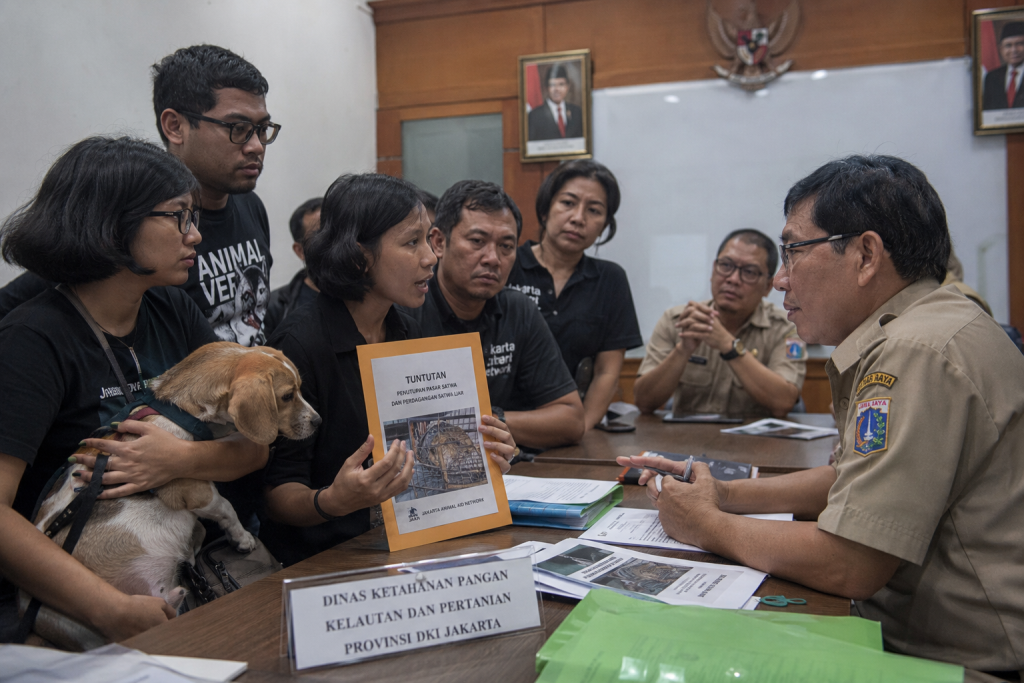 Pergub Jakarta Larang Daging Anjing dan Kucing Sudah Berlaku, Wajib Tahu