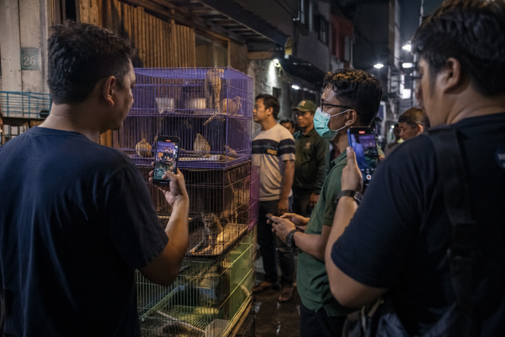 Pergub Jakarta Larang Daging Anjing dan Kucing Sudah Berlaku, Wajib Tahu