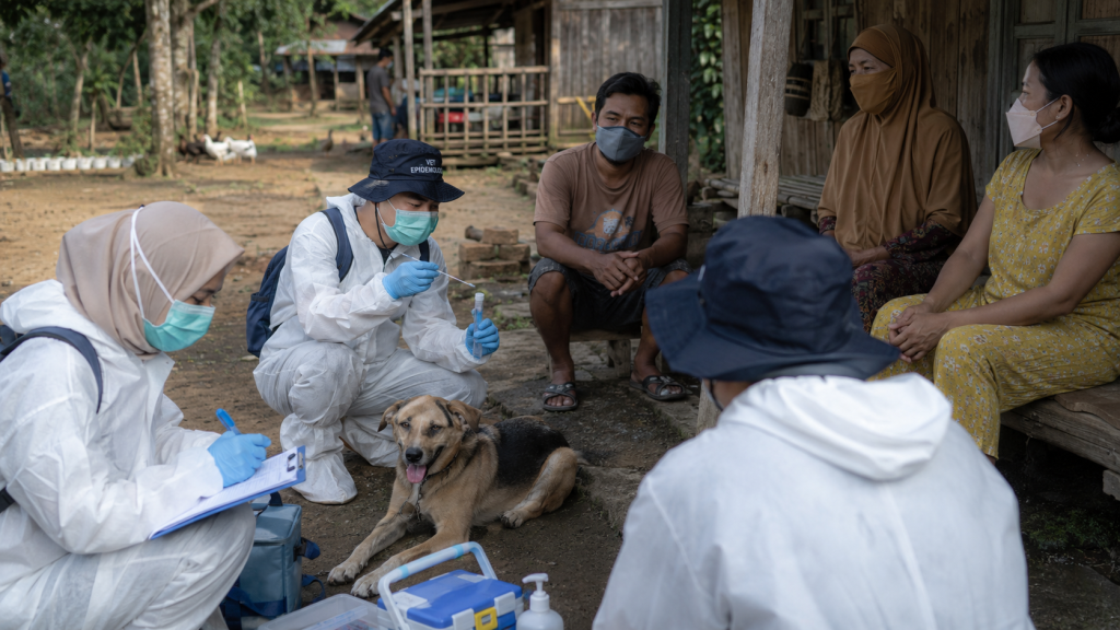 Jangan Tunda Vaksin Rabies: Wajib Setahun Sekali demi Anjing dan Kucing di Rumah 4 Jangan Tunda Vaksin Rabies: Wajib Setahun Sekali demi Anjing dan Kucing di Rumah