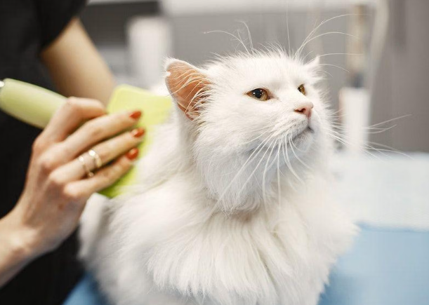 Grooming